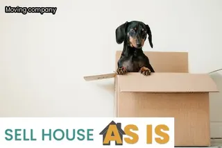 house relocation costs