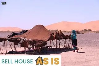 house tenting for termites cost